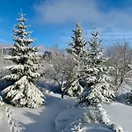 Haus Schneekappe * Winterberg