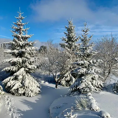 Haus Schneekappe * وينتربرغ
