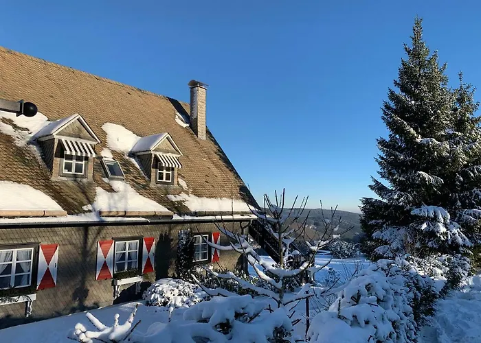 Haus Schneekappe Winterberg